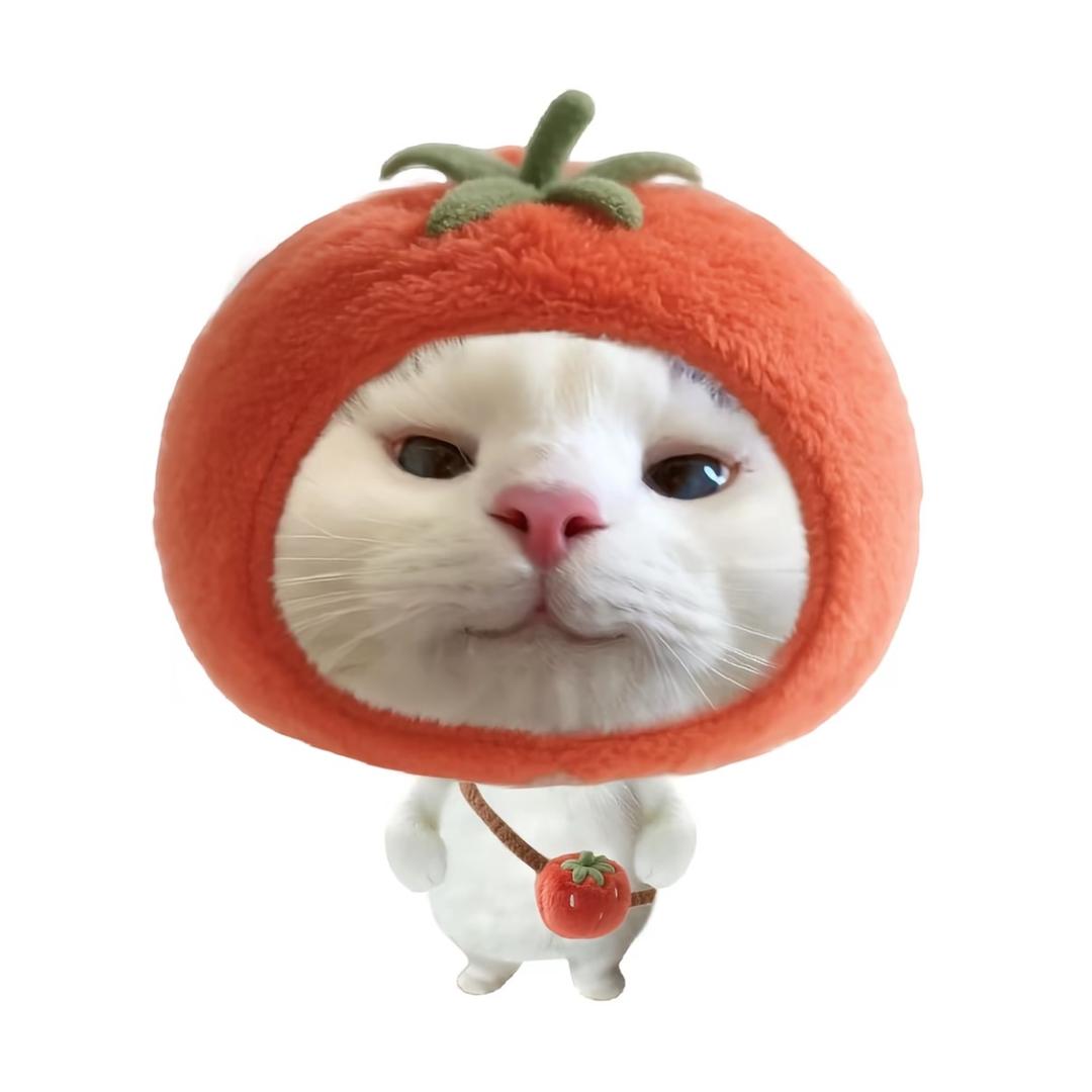 An周边礼请找我