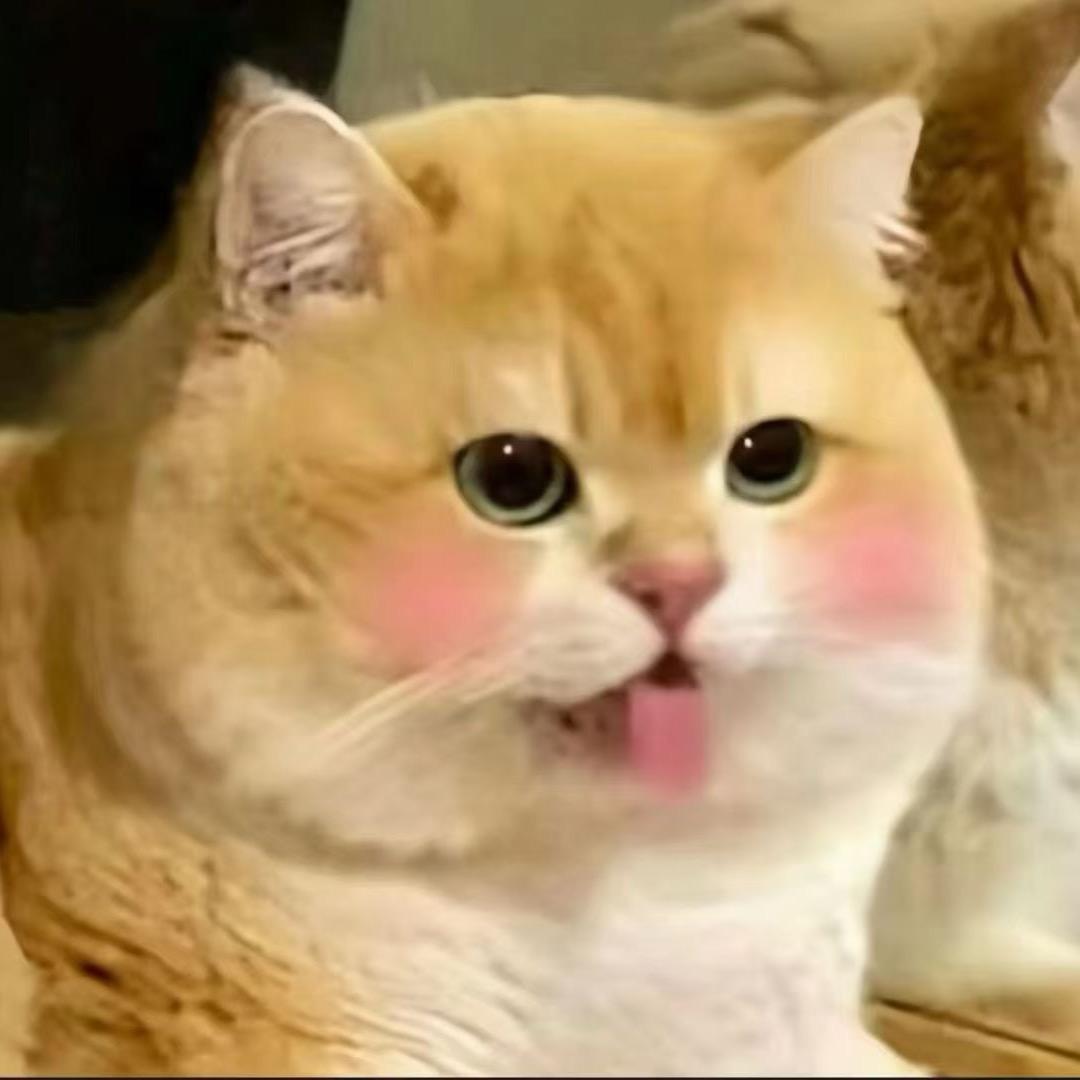 魔法使的猫
