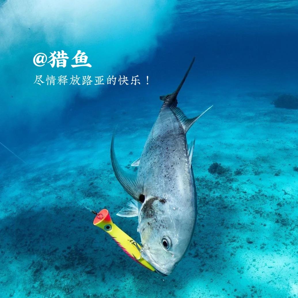 威海猎魚假饵工厂店