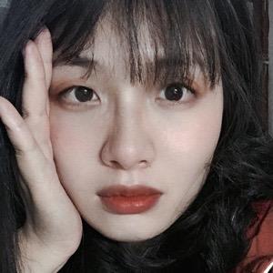 懒猫爪子