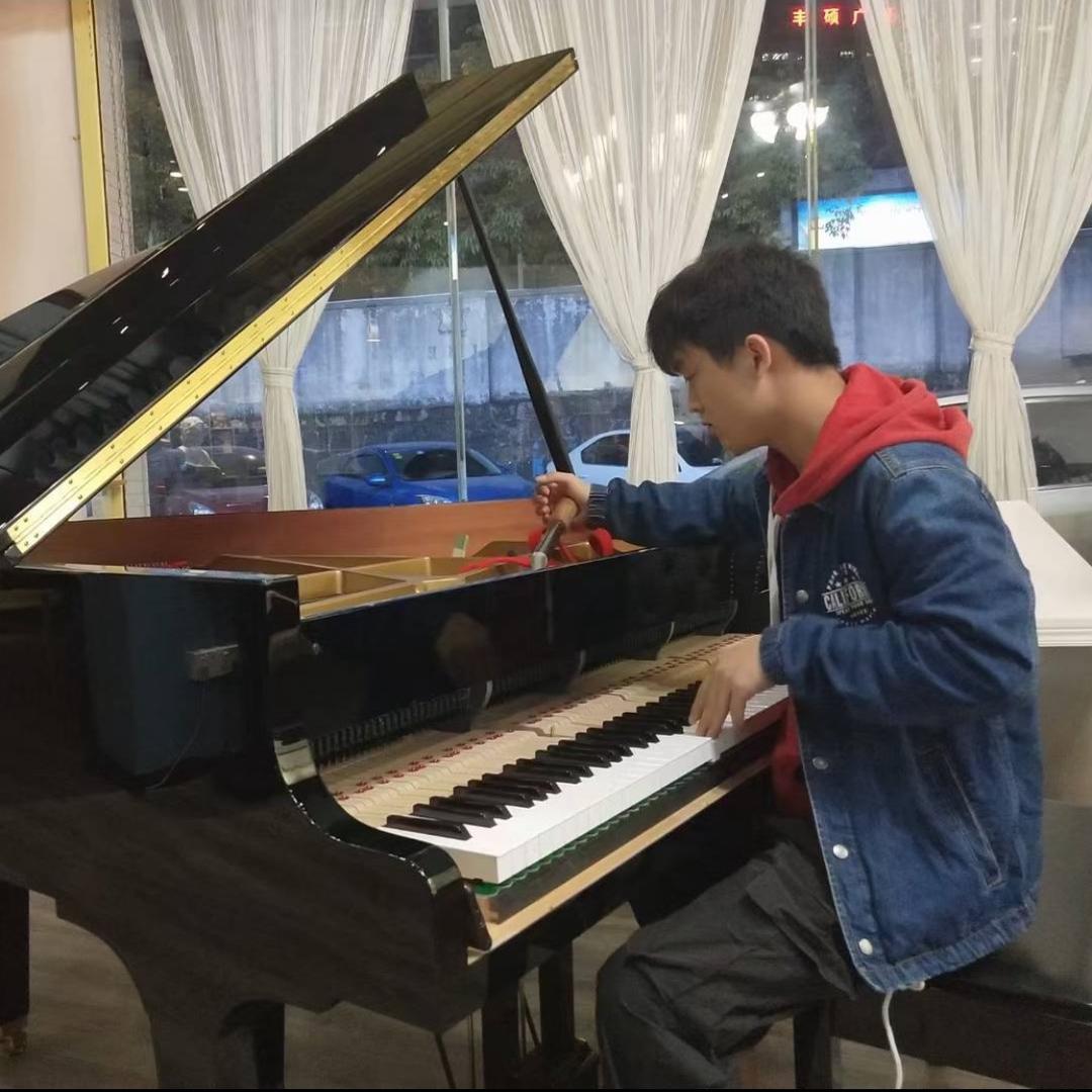 大培培乐器类科普