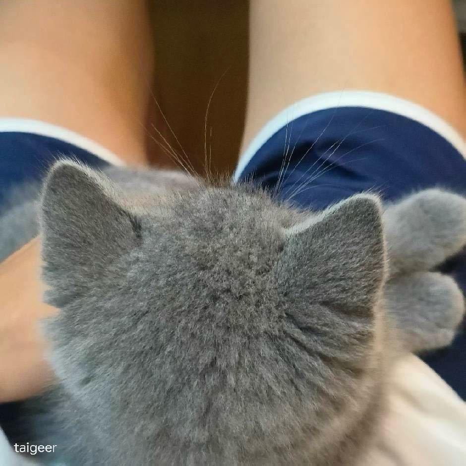 麦恩莉.