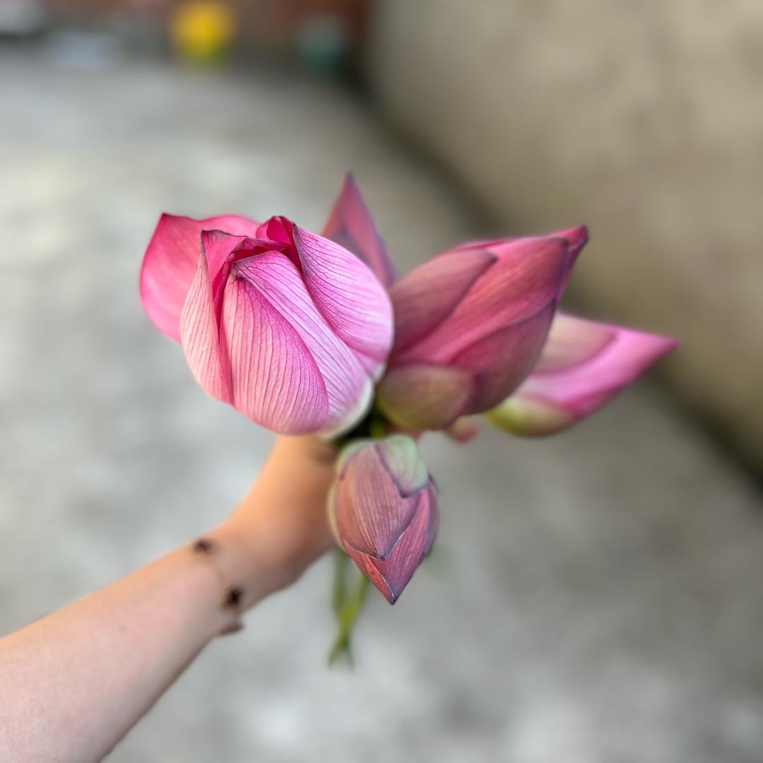 小永远～