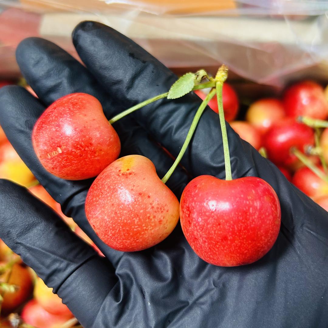 乐果汇辉展精品水果