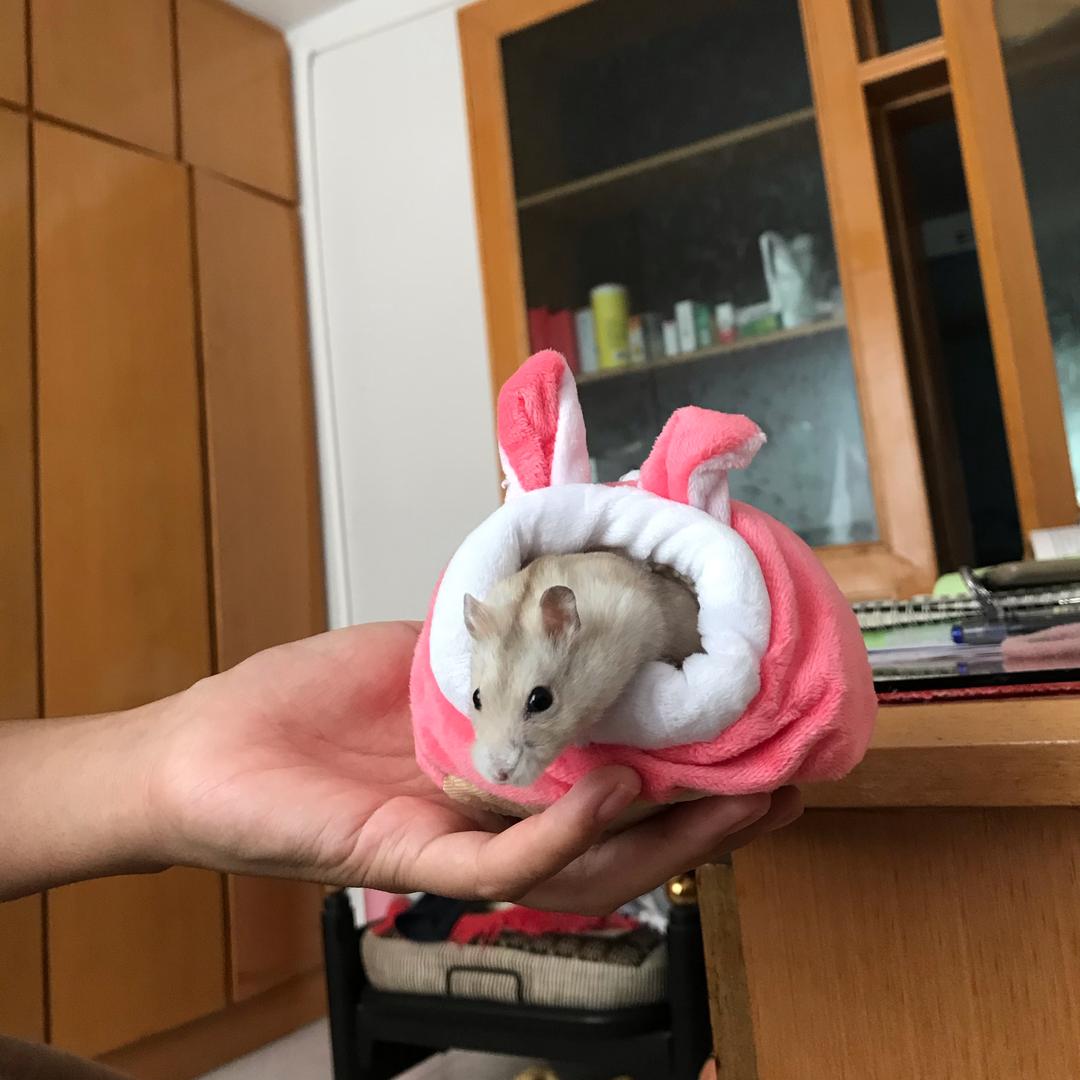冷月筹云