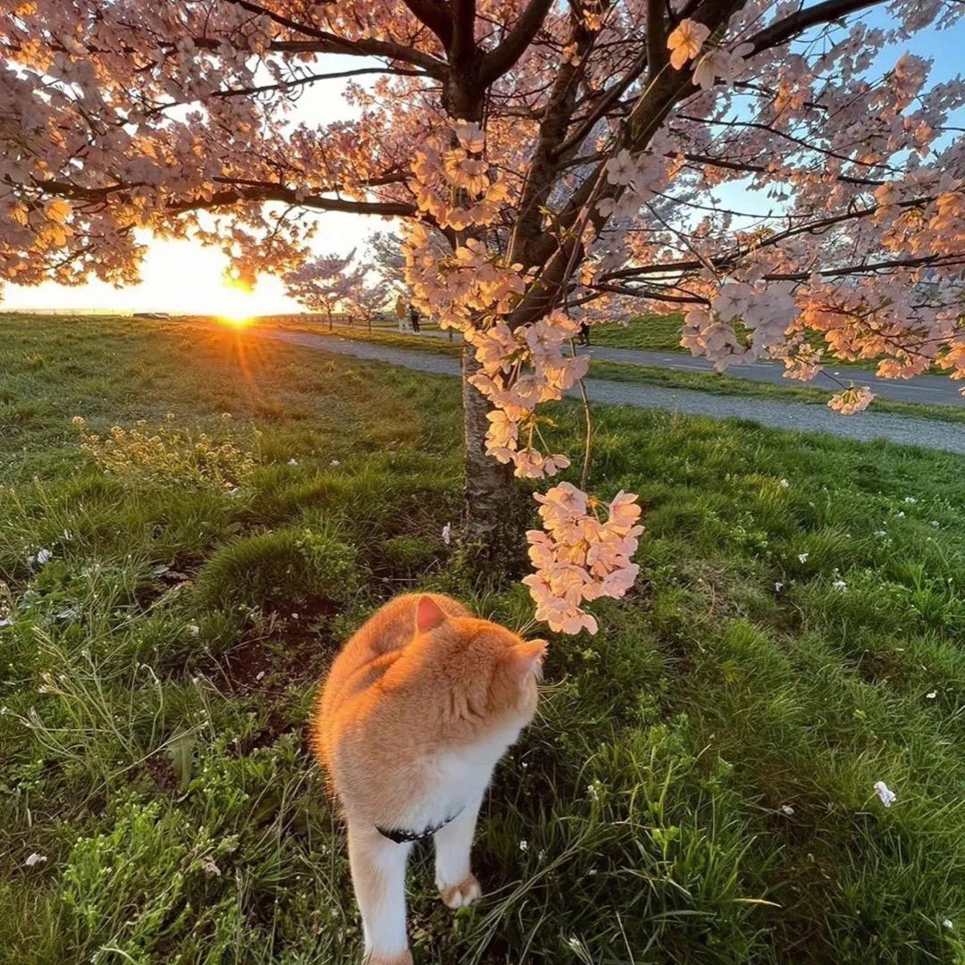 多财多亿