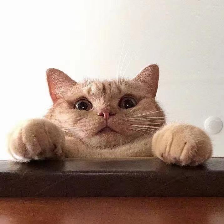凹凸