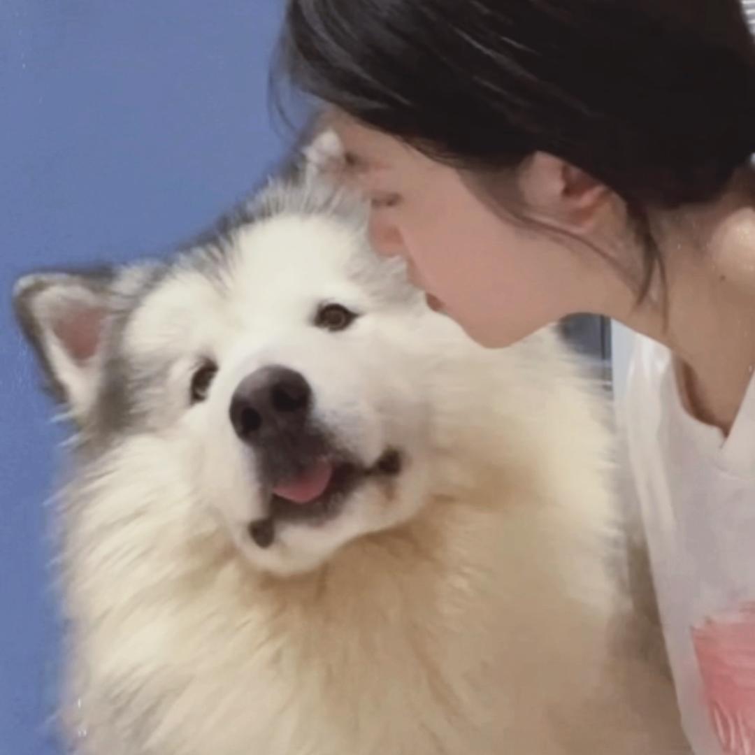 眯眯