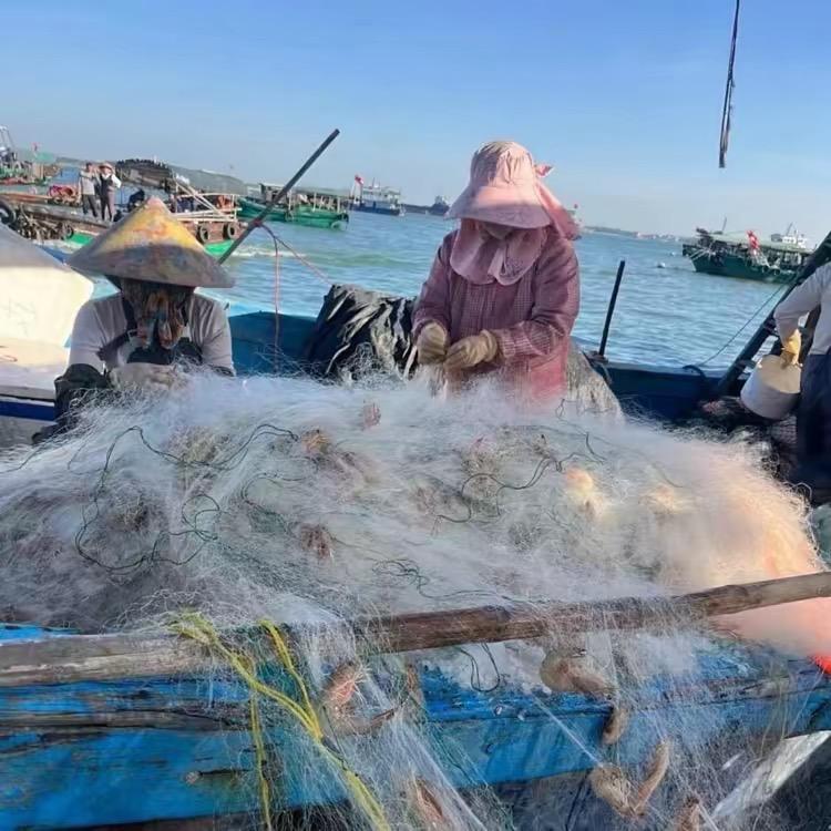渔民哥天然海鲜