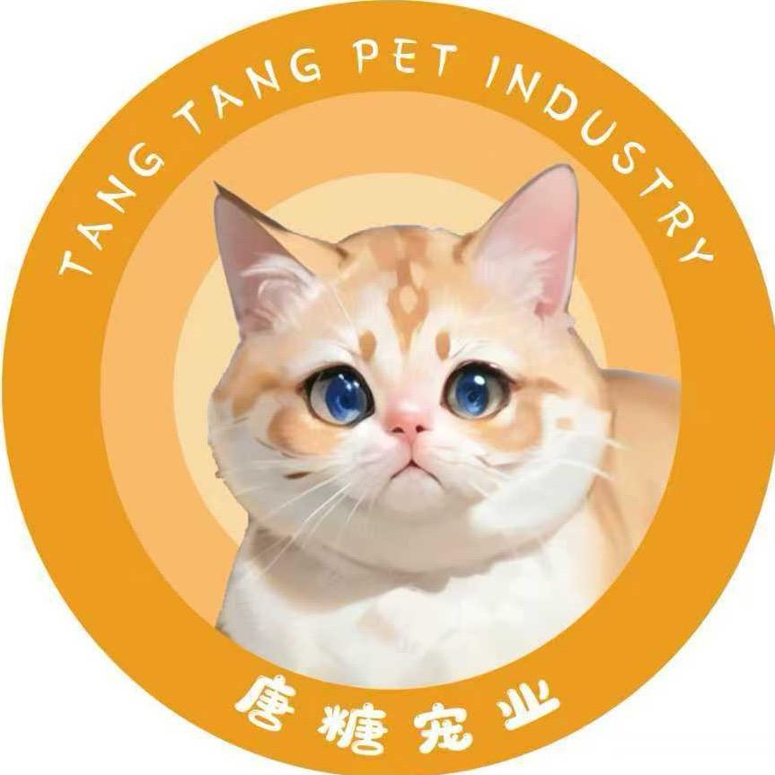 糖球球猫舍官方号