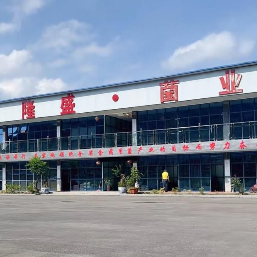 室内种植框栽天麻基地