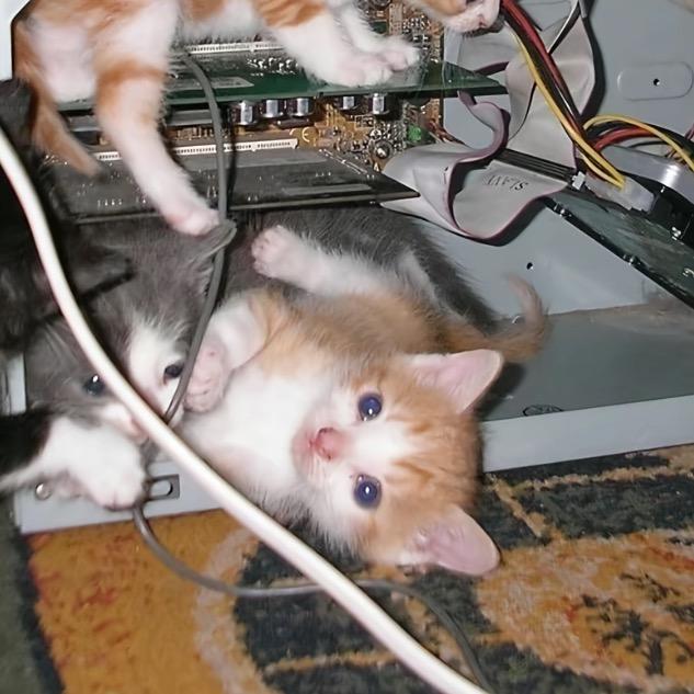 PI