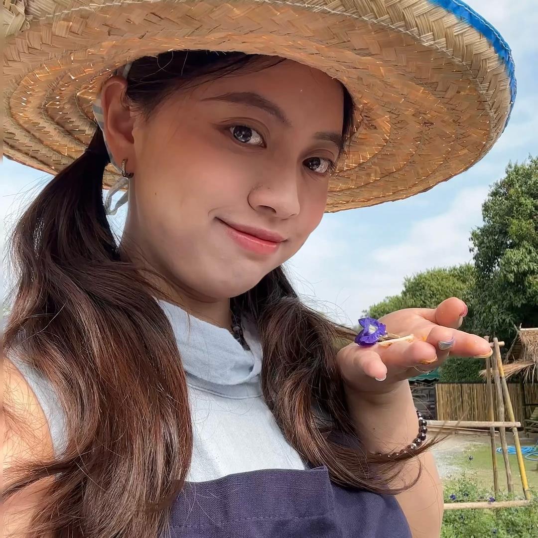 盆盆寻梦环游记