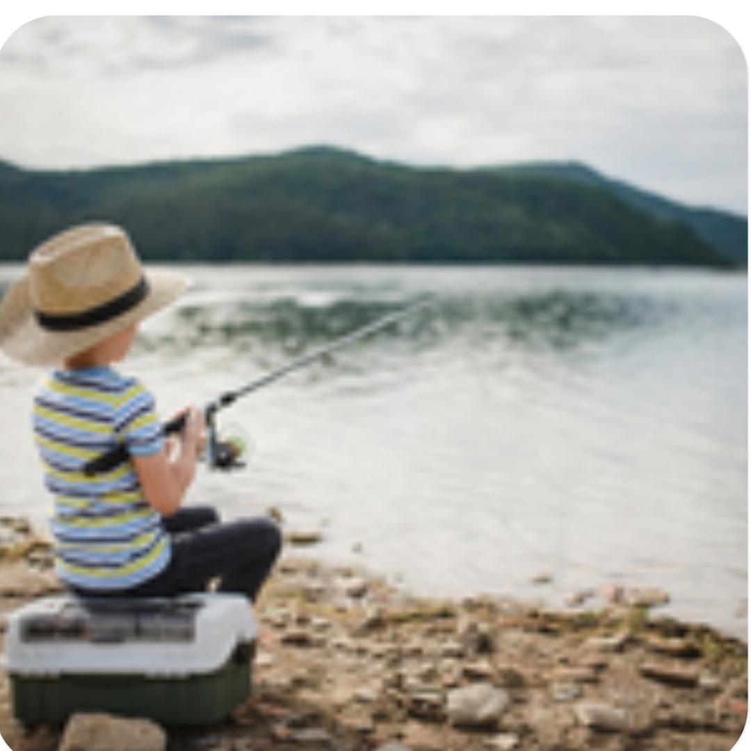 晨哥    🎣