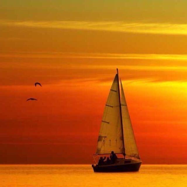 慢慢变富的老陈(一起成长)