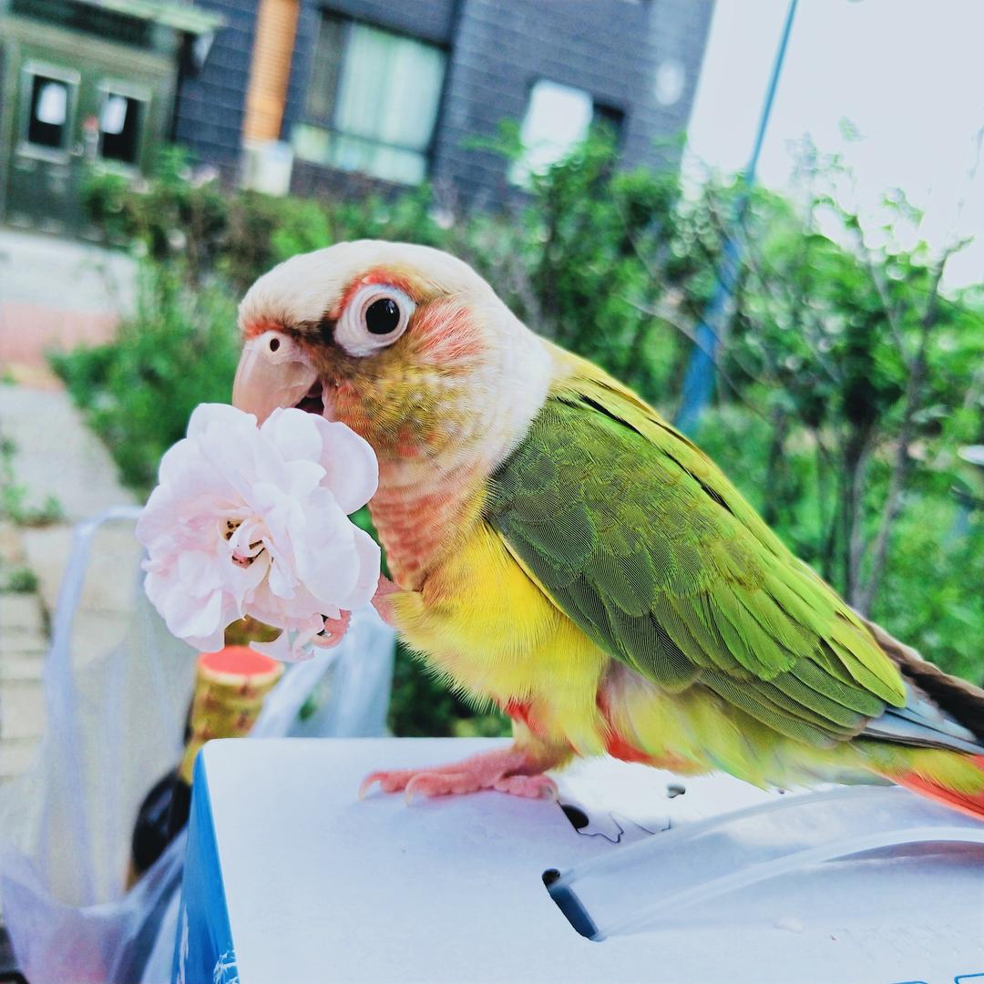 💖好运连连💖