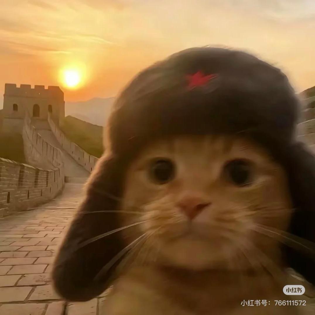 、泥猴桃