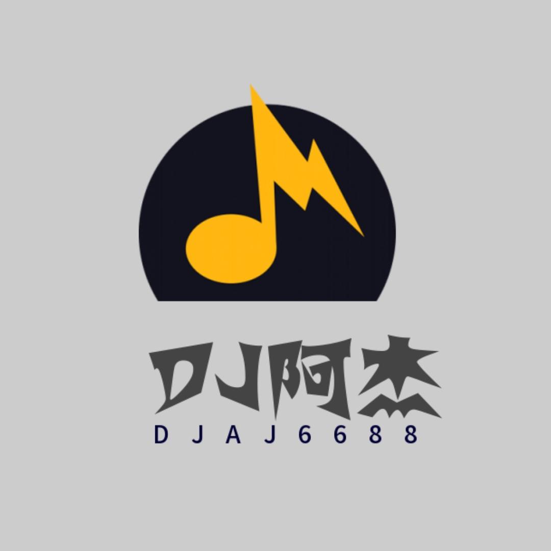 DJ阿杰出车载U盘 招生