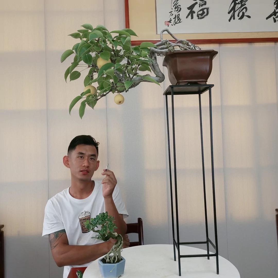 景致盆景（班书通）