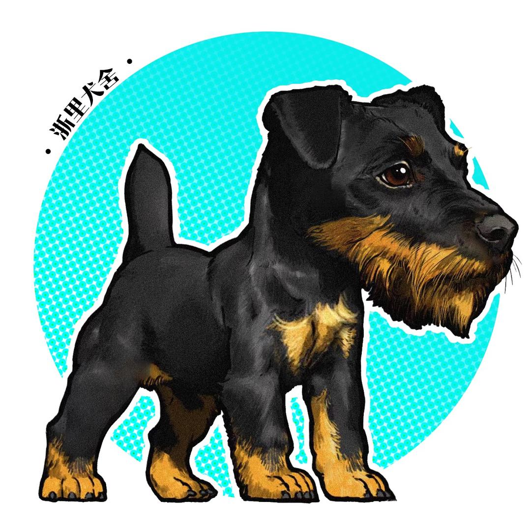 荒野歼击（浙里编队）