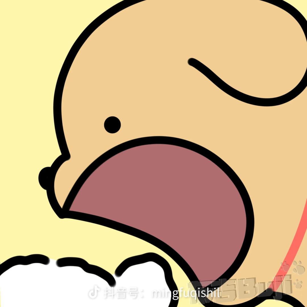 幸运的Y先森