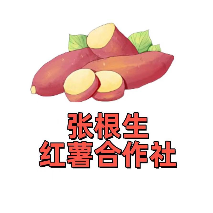 运城市盐湖区张根生红薯种植专业合作社