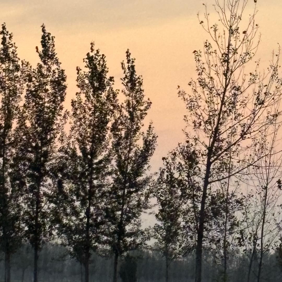 开心一天是一天