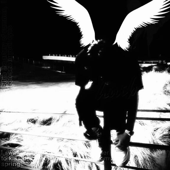𝑀𝑎𝑝𝑙𝑒