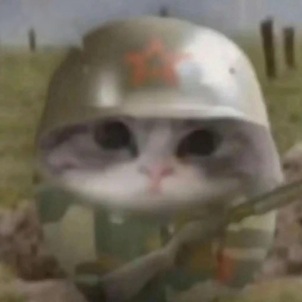 是非曲直难以论说