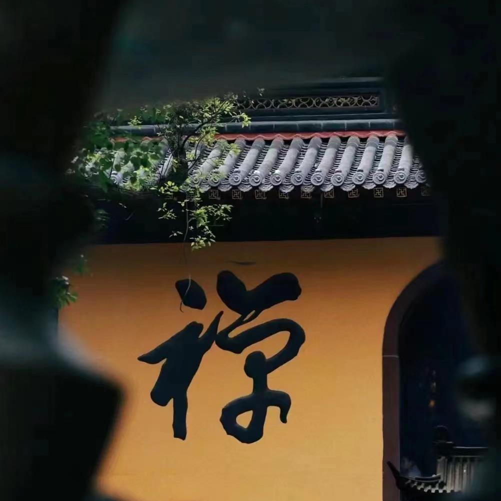 善念4