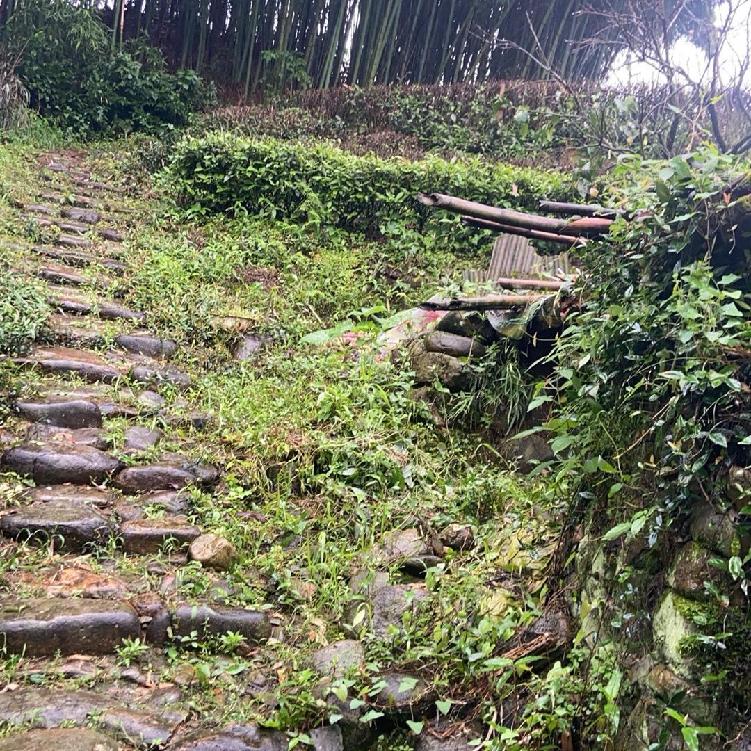 小瑶