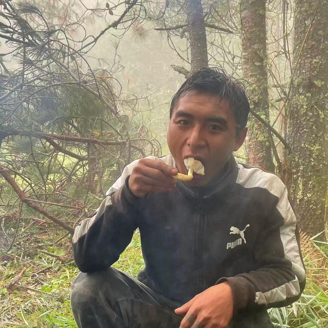 阿零【野外生存】