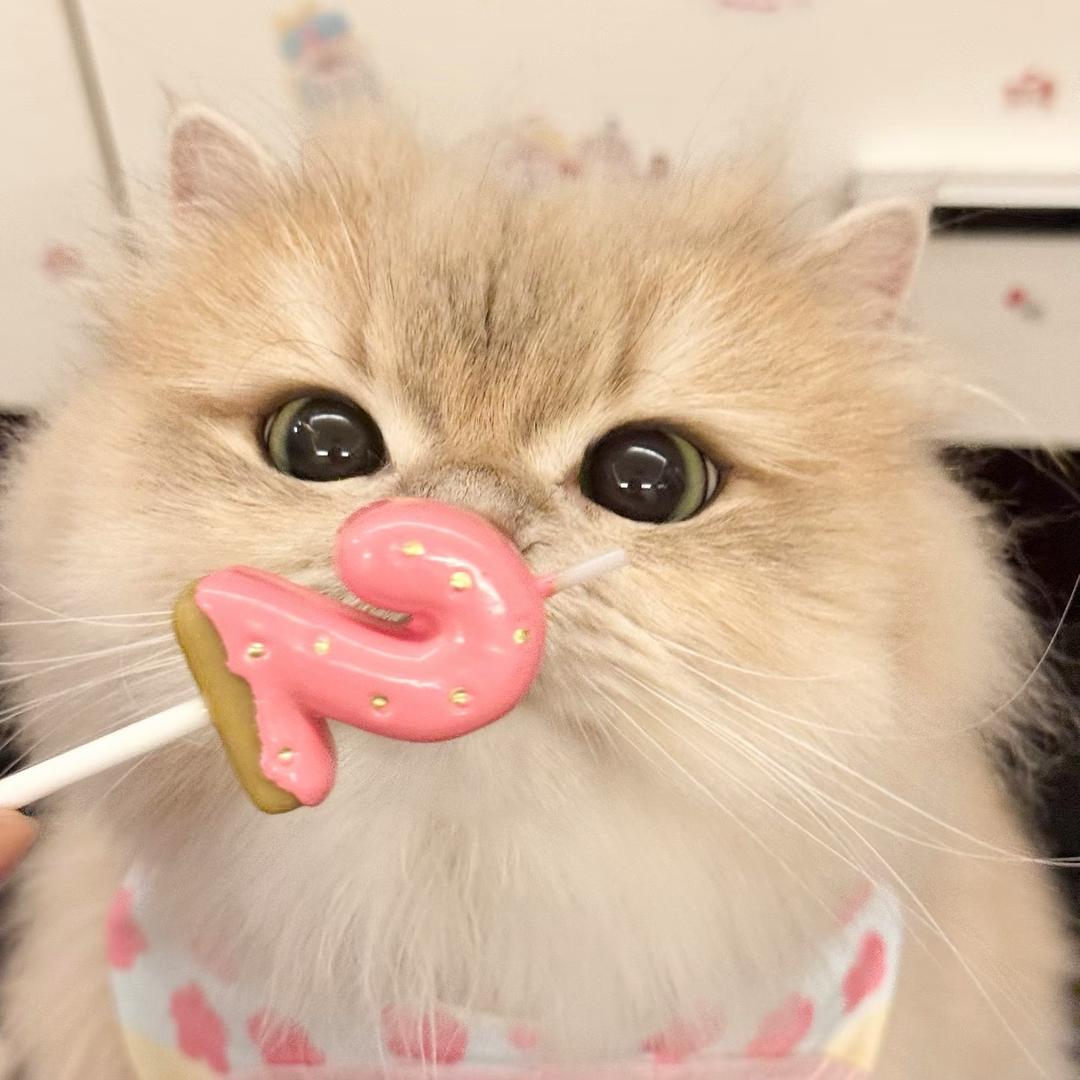 阿鱼