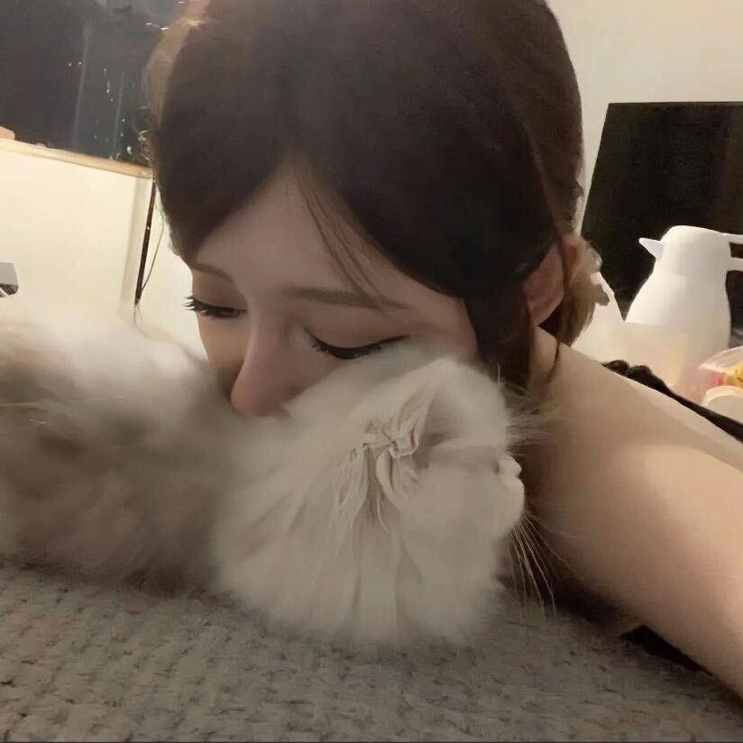 情绪.