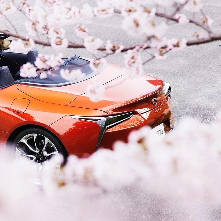 南通雷萨百万情报局