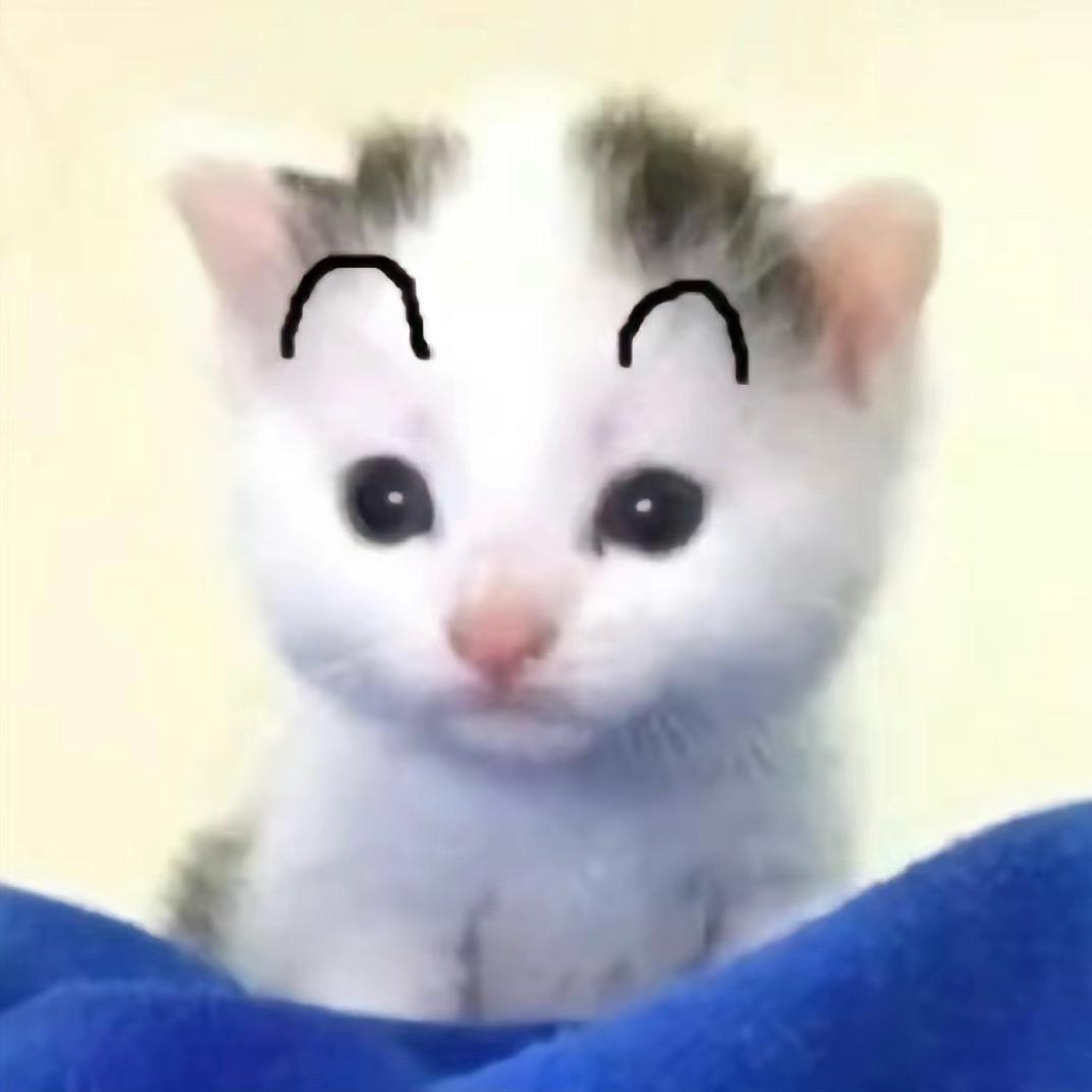 曹心柔