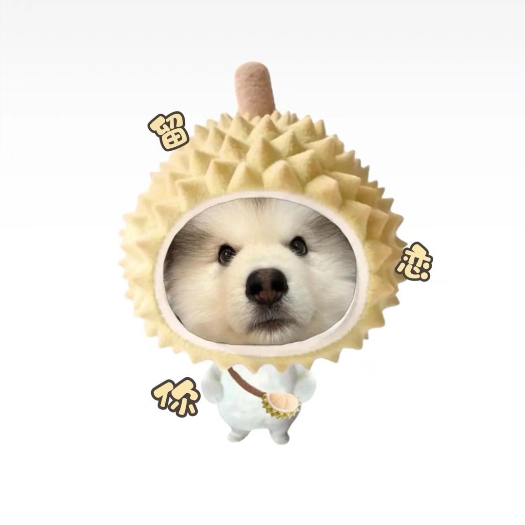 绿色蜜瓜
