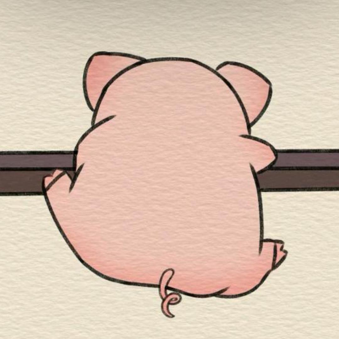 Jokerpig