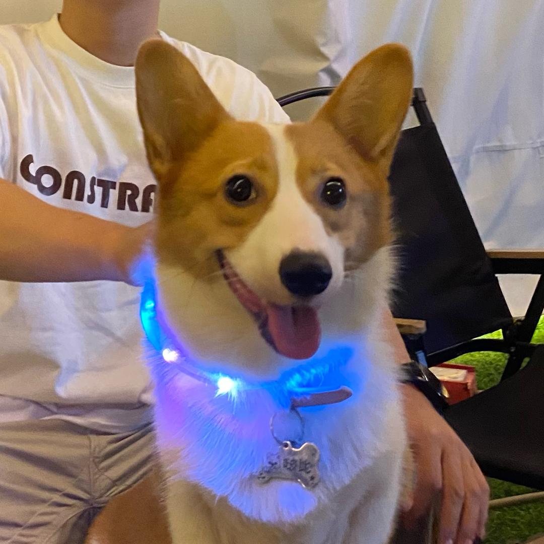 啵比~