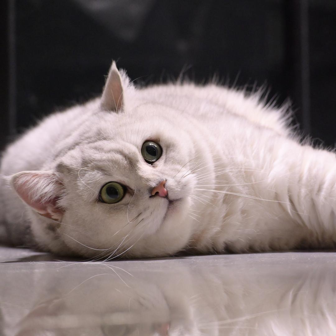 仙女不讲李🧚‍♀️