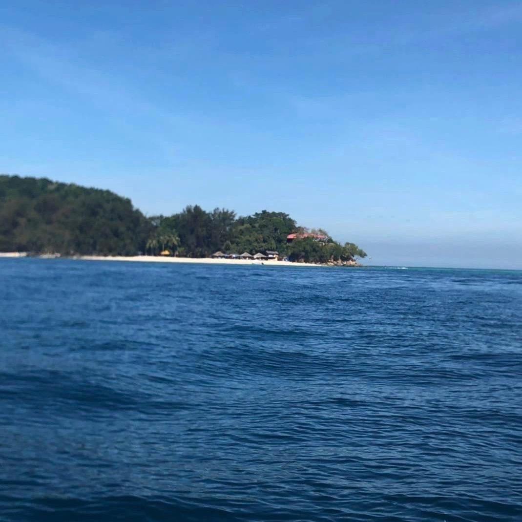 海兔与海