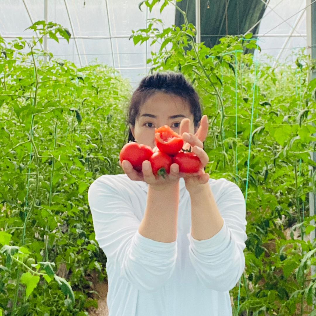 金寨县樱草有机农场