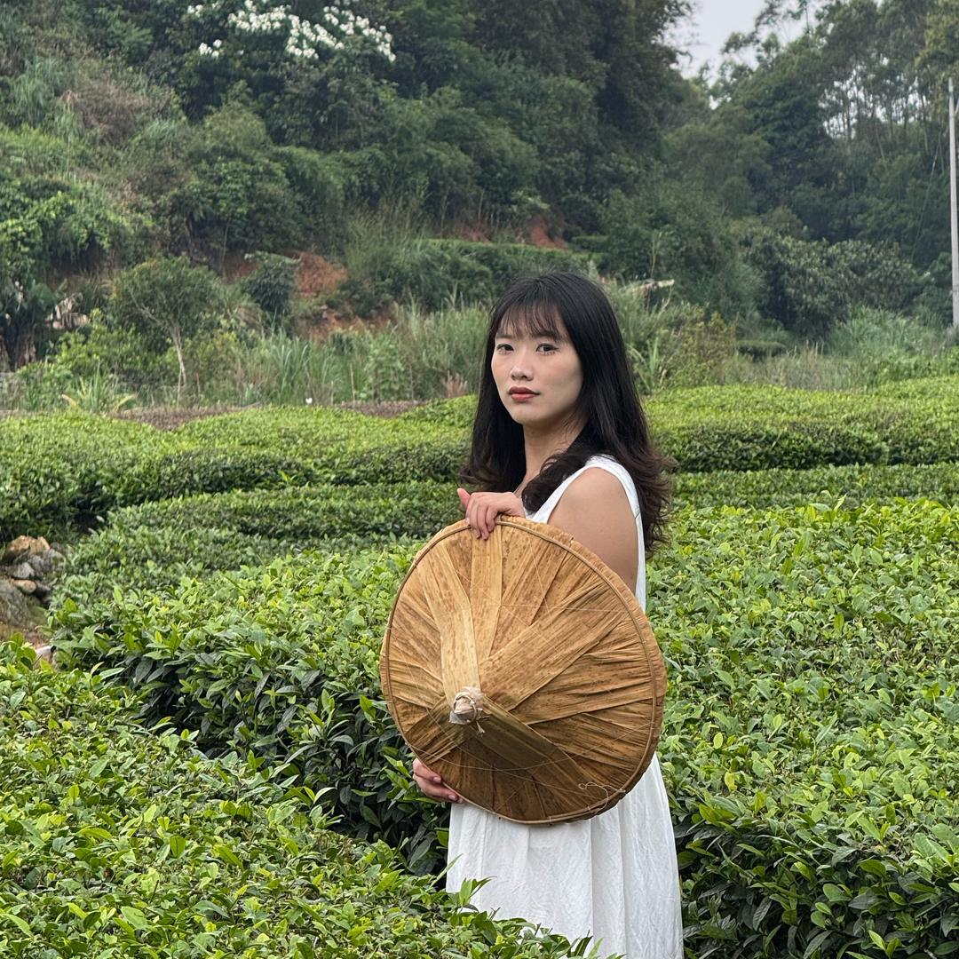 张与蔡