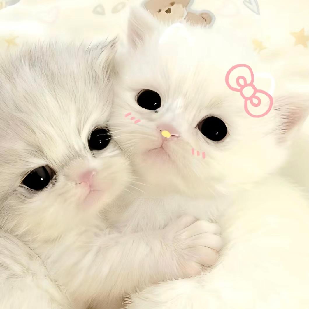 _王老吉