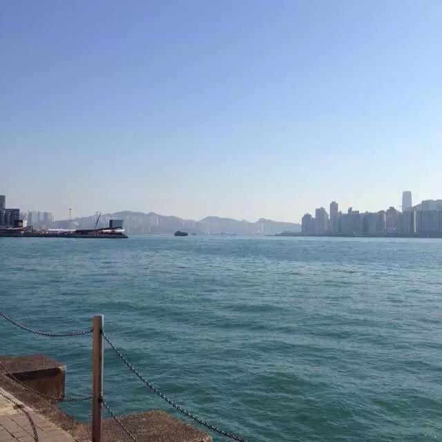 杨小军