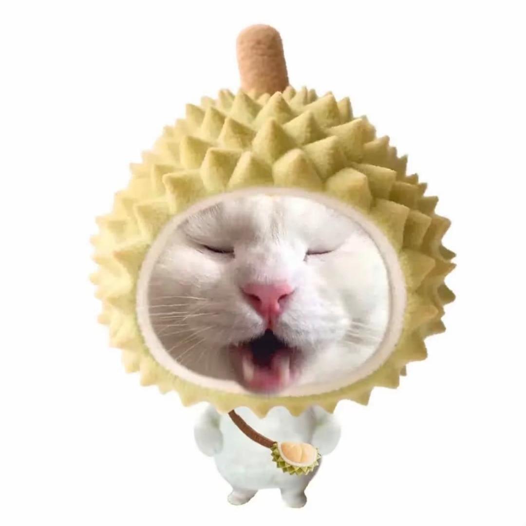 苏梓