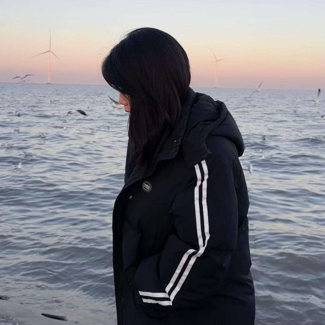 朱珠zhu