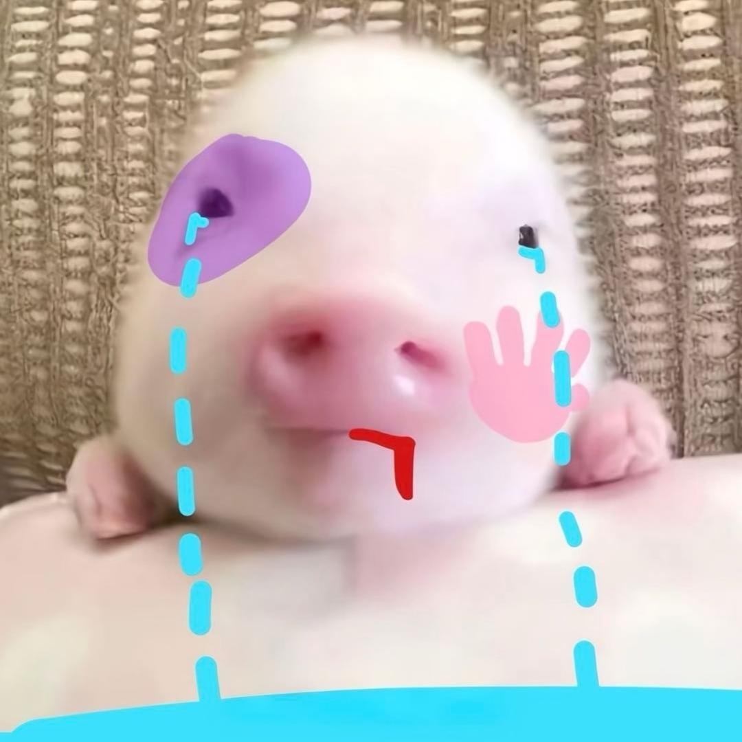 松松包