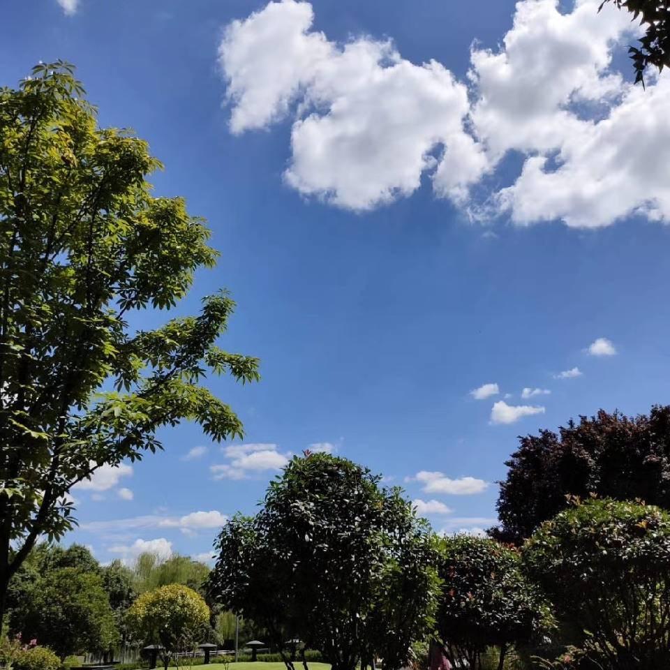 珍惜遇见(专业贴砖)