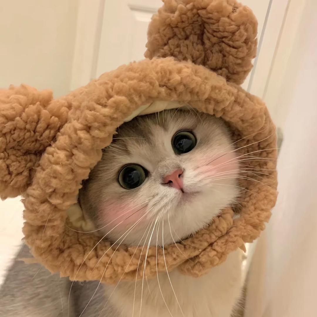 董咚咚